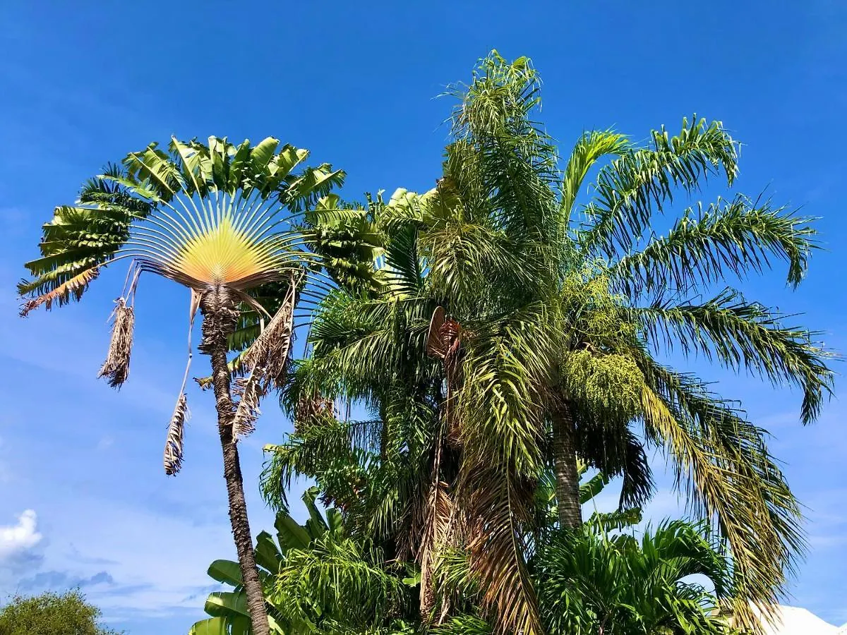 Lägenhet Superbe Bord De Mer, Acces Lagon Et Piscine Privee Paea